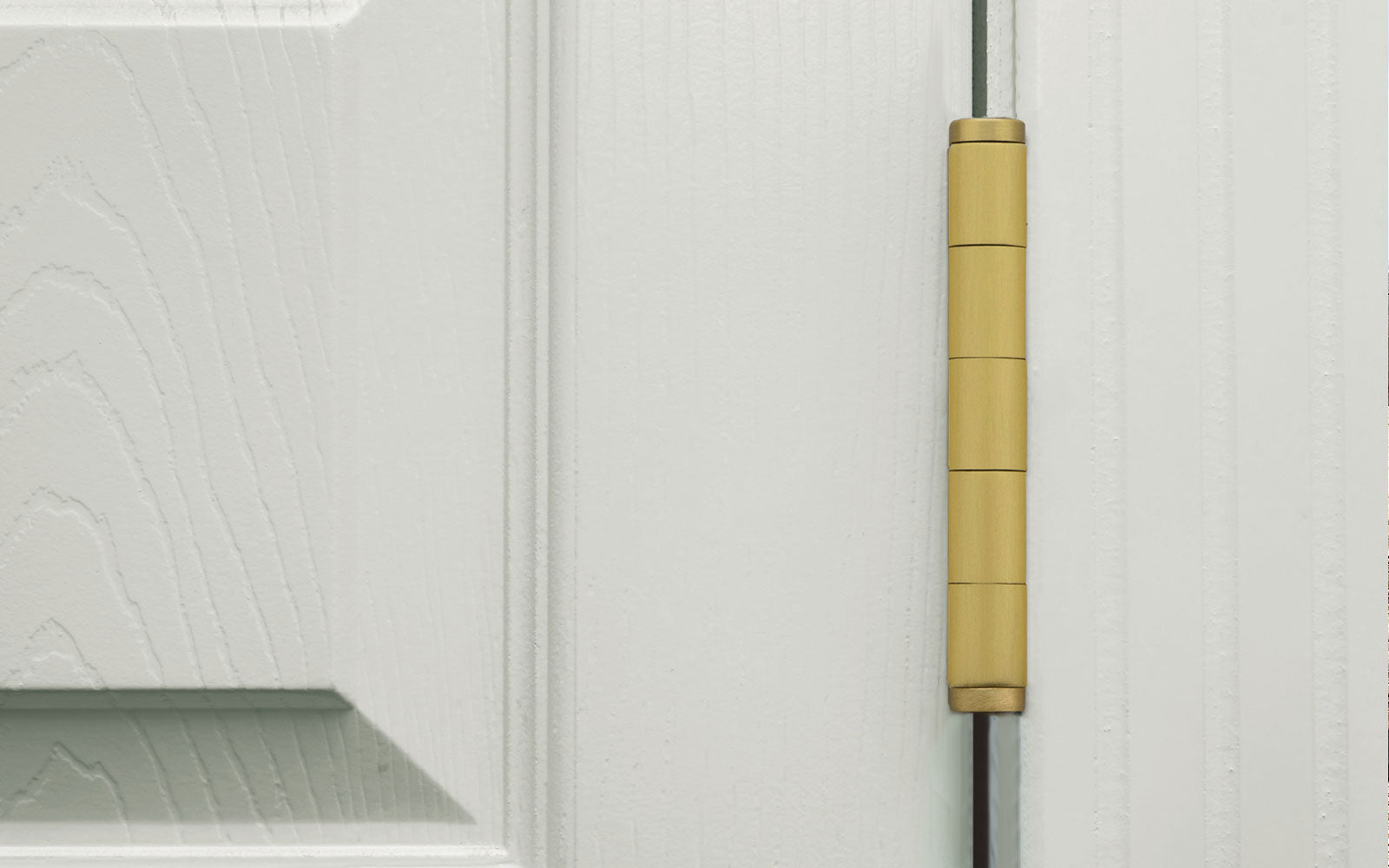 white door with satin brass modern hinge from viaggio hardware